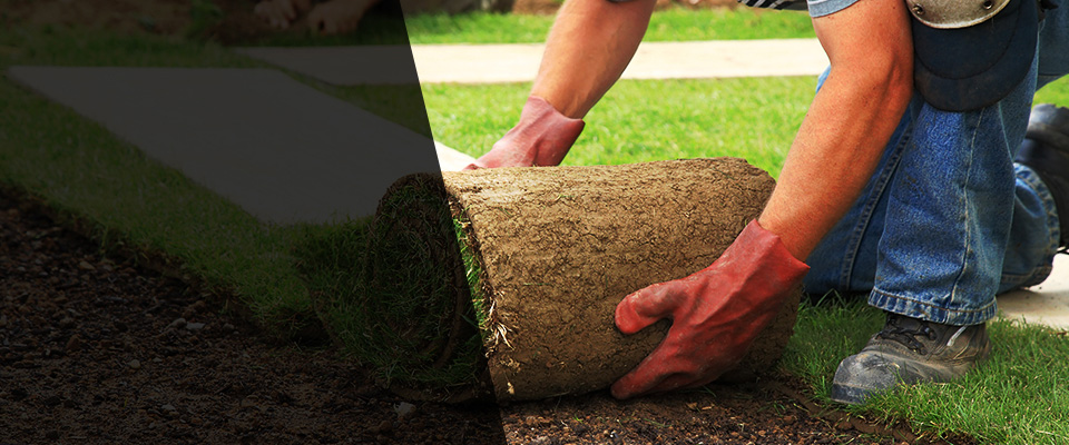 Wildwood Landscapers